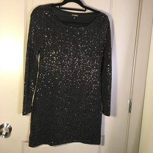EXPRESS Sequin Long Sleeve Dress